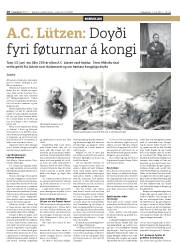 Síða 18