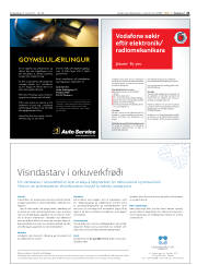 Síða 21