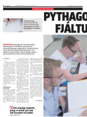 Síða 6