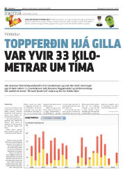 Síða 20