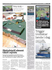 Síða 25