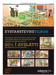 Síða 17