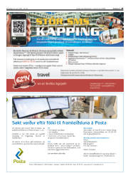 Síða 29