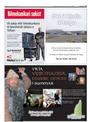 Síða 35