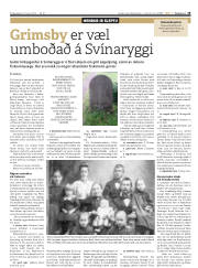 Síða 19