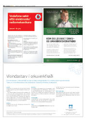 Síða 22