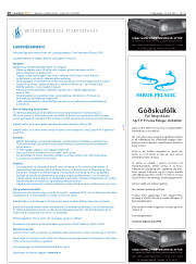 Síða 26
