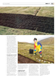 Síða 47