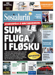 Síða 1