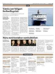 Síða 27