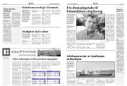 Síða 5