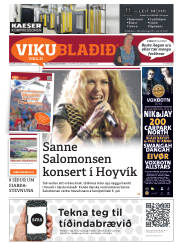 Síða 33