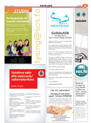 Síða 45