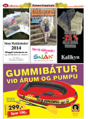 Síða 56