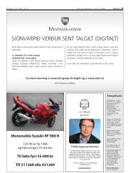 Síða 25