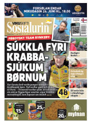 Síða 1