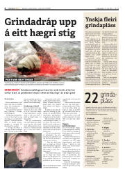 Síða 4
