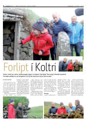 Síða 6