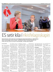 Síða 8