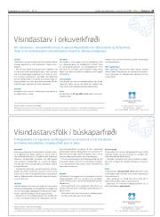 Síða 21