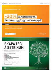 Síða 22