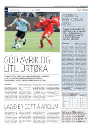 Síða 31