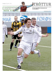 Síða 13