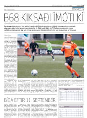 Síða 15