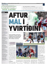 Síða 20
