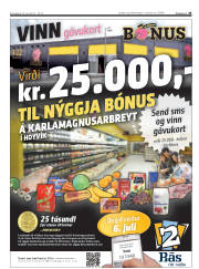 Síða 25