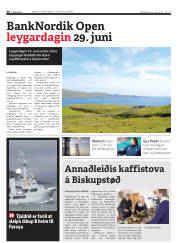 Síða 30