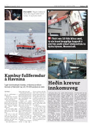 Síða 31