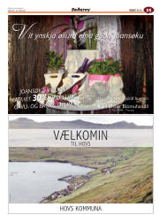 Síða 61