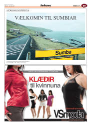 Síða 65