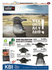 Síða 73