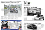 Síða 8