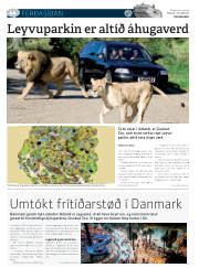 Síða 80