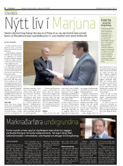 Síða 4