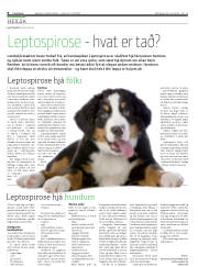Síða 8