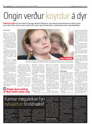 Síða 6
