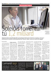 Síða 12