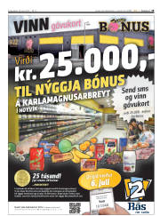 Síða 19