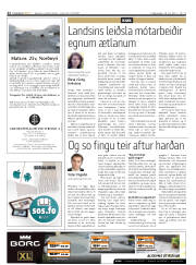 Síða 22