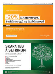 Síða 29