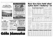 Síða 14