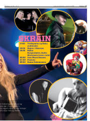 Síða 17