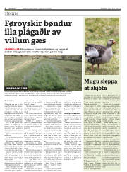 Síða 6