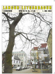 Síða 9