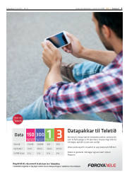 Síða 3