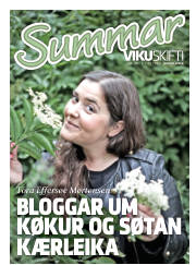 Síða 29
